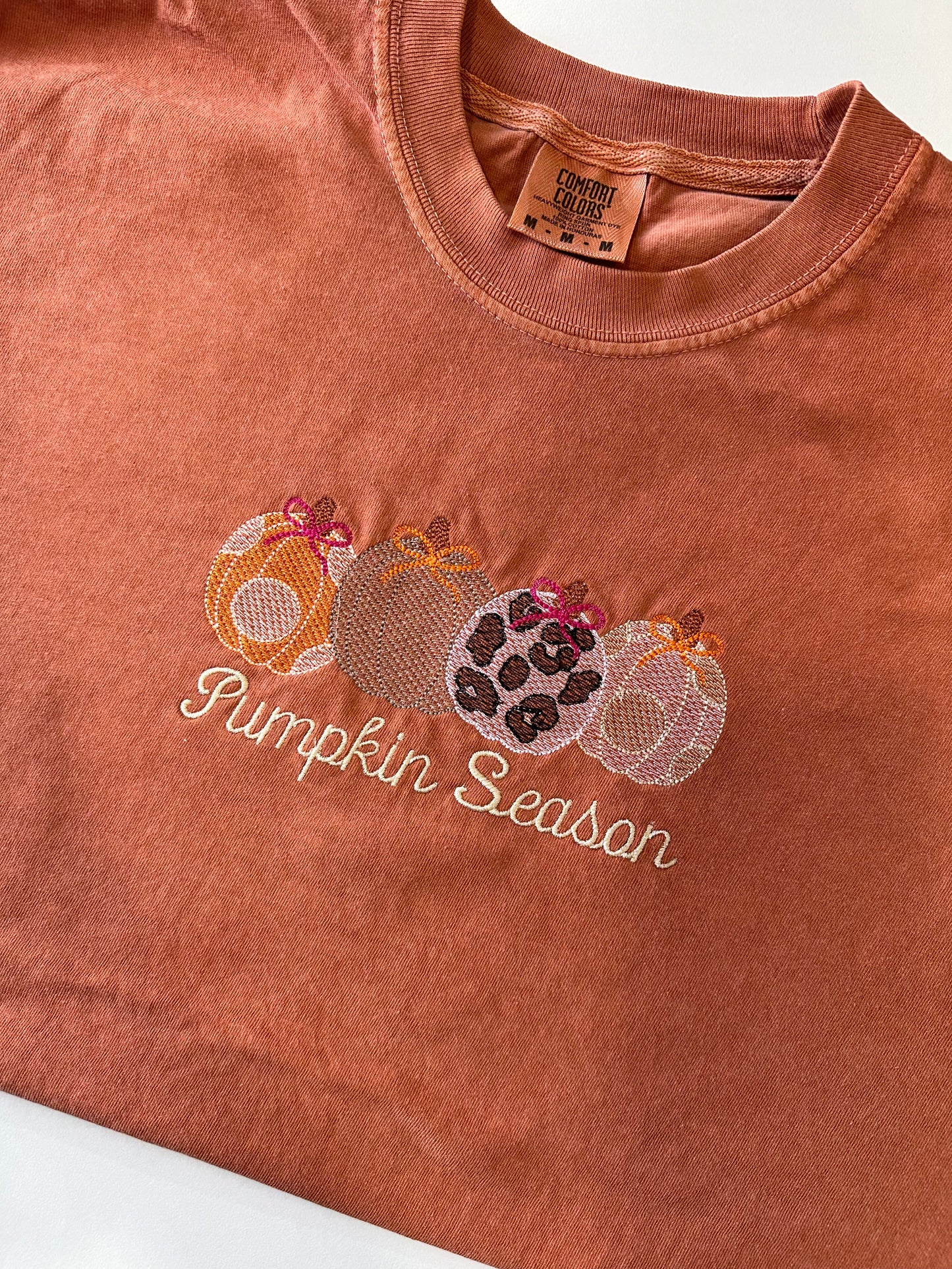 Pumpkin Season Embroidered T-shirt