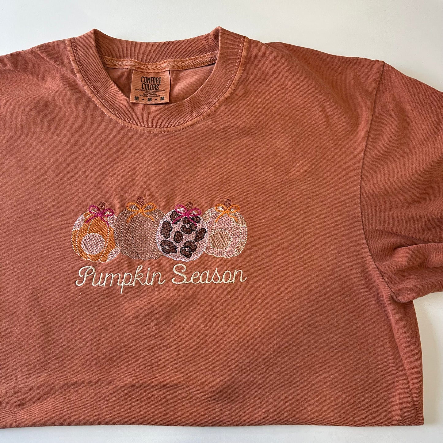 Pumpkin Season Embroidered T-shirt